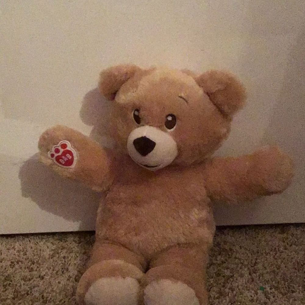 Bear 🐻
